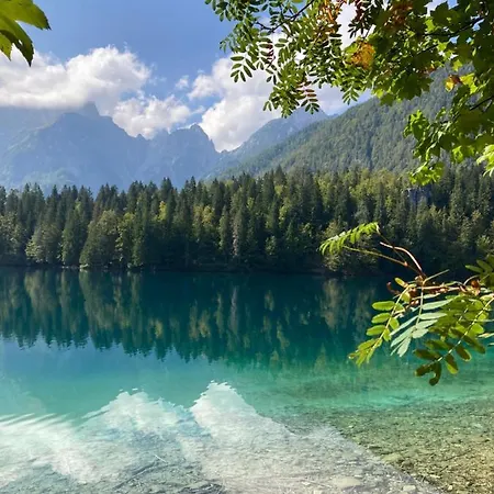 Belopeski Dvori Apartman Kranjska Gora