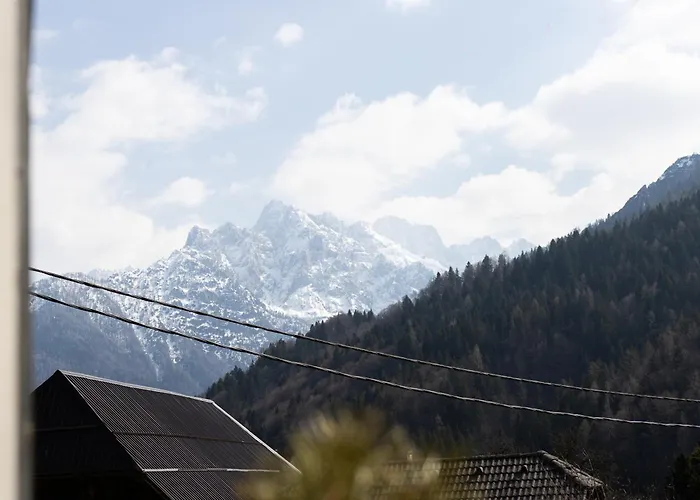 Apartment Belopeski Dvori